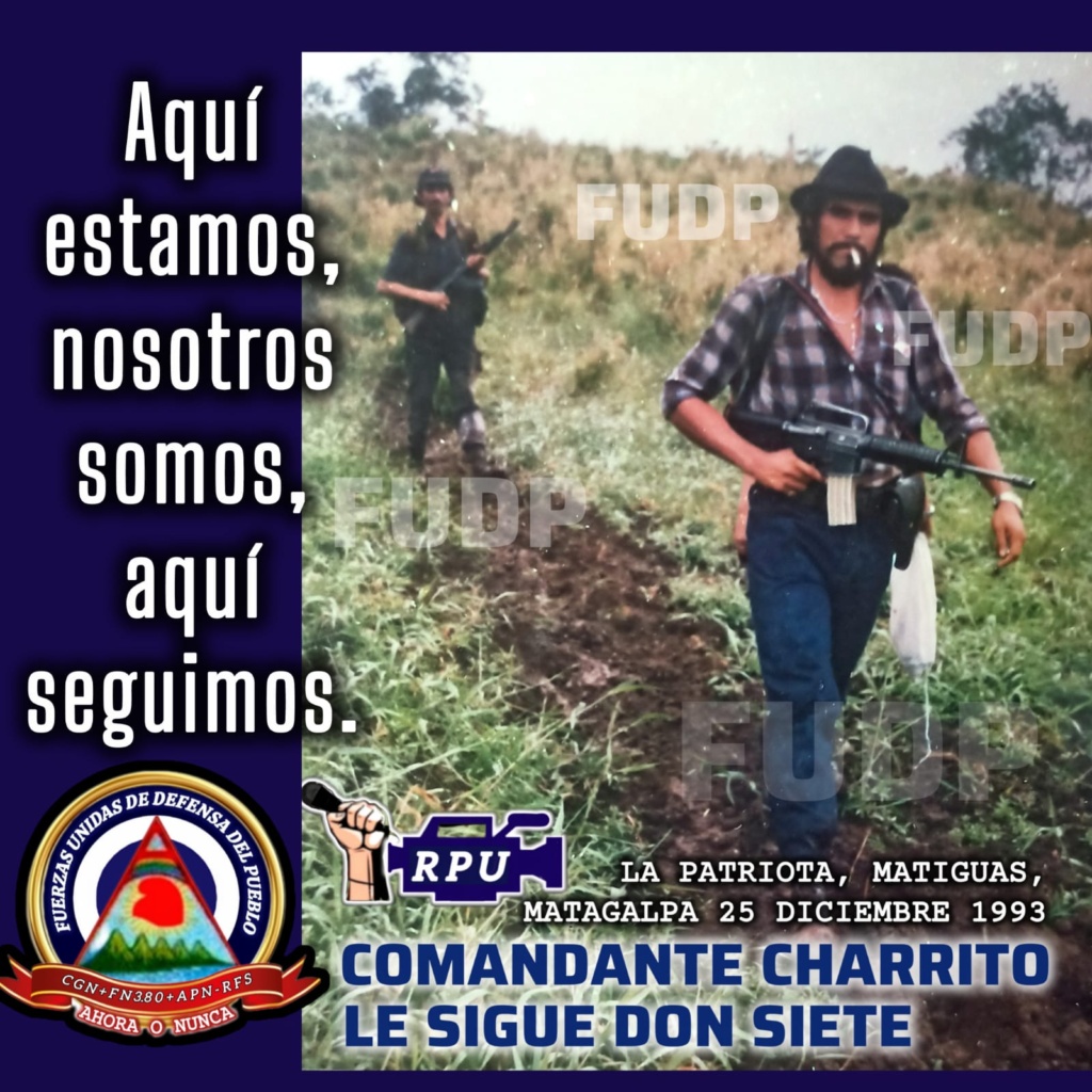 Imagen de WhatsApp 2025-07-16 a las 10.57.29_80957a7c