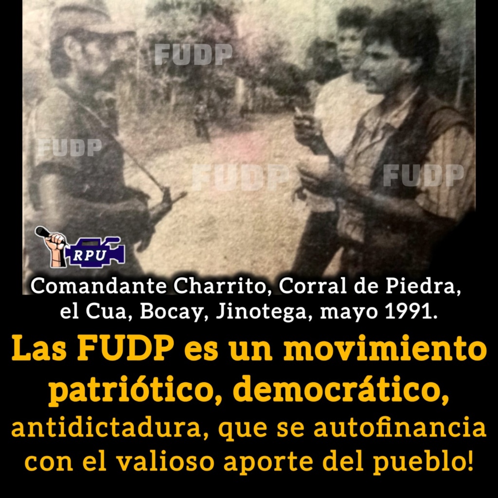 Imagen de WhatsApp 2025-07-17 a las 11.17.02_f1014463